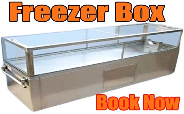 Freezer Box Ambulance Service near Manikonda